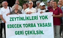 Zeytinlikleri ranta açacak kanun teklifi Meclis'te kabul edildi