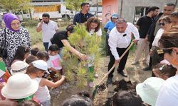 Fidanlar; yanan ormanlar, çocuklar ve Zeydan Karalar için dikildi