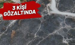 İzmir'deki yangından geriye bu görüntüler kaldı! Havadan müdahale yeniden başladı