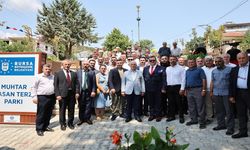 İznik, Büyükşehir’le daha yeşil