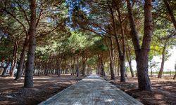 Bursa'ya devasa park ve mesire alanı