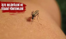 Çin'de virüs alarmı! 7 bin vaka