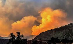 California'da 330 kilometrekareden fazla alan küle döndü