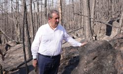 Mustafa Destici'den orman yangınları için 'idam' çıkışı