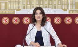 DEM Parti yine hukuksal güvence istedi
