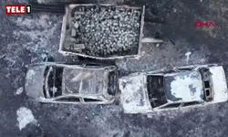 Çanakkale'deki orman yangının bıraktığı tahribat gün ağırınca ortaya çıktı