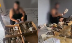 Avlanması yasak kuşları yurt dışına satan yabancı uyruklu yakalandı!