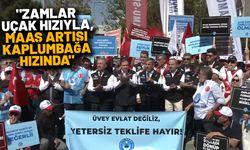 Kamu-Sen'den AKP'ye zam isyanı: Maaşlar insanca yaşamaya yetmiyor