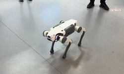 Çin'in akıllara durgunluk veren robotu
