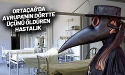 ABD'de veba hortladı! Pire ısırığıyla bulaştı