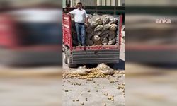 CHP'li ilçe başkanı alıcı bulamadığı bir traktör patatesi sokağa döktü
