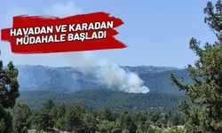 Mersin'de orman yangını