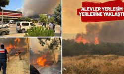 Çanakkale'de orman yangını! Boğaz çift yönlü gemi trafiğine kapatıldı