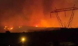 Manisa yangınında 1 tutuklama!