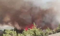 Adana’da orman yangını