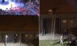 Konseri çatıdan izleyen gençlere şiddet uygulayan güvenlik görevlisi tutuklandı