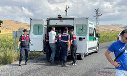 Komşu kavgasında 2 kardeş av tüfeğiyle öldürüldü