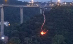 Havai fişek ile Beykoz'da ormanı yakmıştı! 6,5 yıl hapis istemi