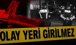 Dört günde ikinci aile dehşeti! Annesi, kardeşi ve komşusunu vurdu