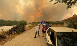 Denizli'deki orman yangını 4. gününde! Havadan müdahale yeniden başladı