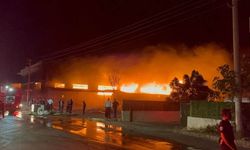 İzmir'de fabrika yangını!