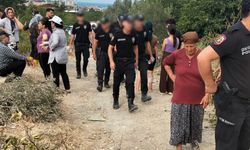 Hatay'da TOKİ inşaatı için mandalina bahçeleri yıkılıyor: Köylüler direnişte