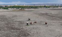İstanbul'da tehlike çanları çalıyor! Barajlarda yağışa rağmen kritik düşüş