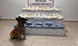 Van'da uyuşturucu operasyonu! Tam 47 kilo 800 gram...