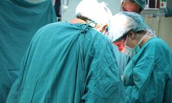 Tıp dünyasında çığır açan gelişme! Domuzdan alınan karaciğer insanda çalıştı