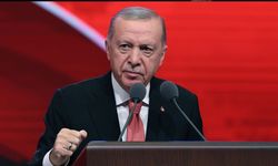 Erdoğan: Eli kanlı canilerle mücadele devam edecek