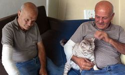 Mama verdiği köpek kolunu ısırdı 'hayvan sevgimden vazgeçmem' dedi