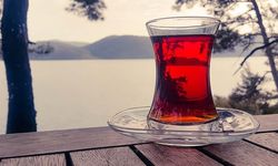 Almanya’da şok geri çağırma! Doğuş Form Tee çaylarında kanserojen madde tespiti