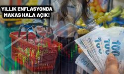 TÜİK aylık enflasyonda ENAG'la makası kapattı!