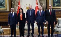 DEM Parti İmralı Heyeti üçüncü kez Erdoğan ile görüşecek