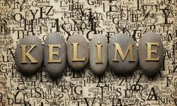 2025 yılının kelimesi belli oldu