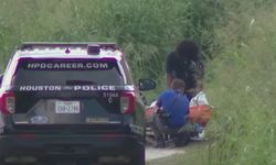 Lanetli gibi: O bataklıktan bir senede tam 34 ceset çıkartıldı! Seri katil şüphesi var