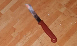 Meyve bıçağıyla babasını katletti