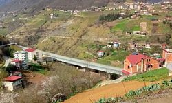 Viyadükten düşüp, öldü