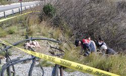 Antalya'da yol kenarında kadın cesedi bulundu