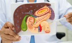 Pankreas Kanseri Nedir? Pankreas Kanseri Neden Olur, Belirtileri ve Tedavisi