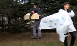 İstanbul'da kan donduran olay! Terk edilen bebek ölü bulundu