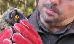 58 bin 22 yaralı yaban hayvanı tedavi edilerek doğaya salındı