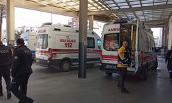 Aydın'da kadın cinayeti! 29 yaşındaki kadın katledildi