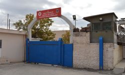 Mardin'de kardeşini öldüren şüpheli tutuklandı