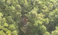 Endonezya'da helikopter kazası: 8 ölü