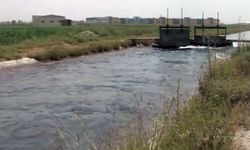 16 yıl önce sevgilisiyle öldürülen hostes Jale'nin annesi: Kızımın katilini istiyorum