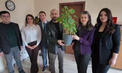 Bitkilerden elektrik üretildi; Bolu ve Ankara'dan ekip biyopil geliştirdi