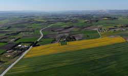İstanbul'da sarıya bürünen kanola tarlaları havadan görüntülendi
