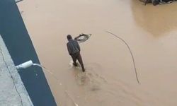 Siirt'te sağanak nedeniyle dere taştı, ev ve arazileri su bastı