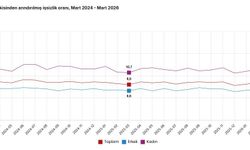 TÜİK: İşsizlik martta yüzde 0,3 azaldı